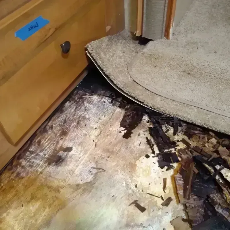 Wood Floor Water Damage in Franklin County, MO